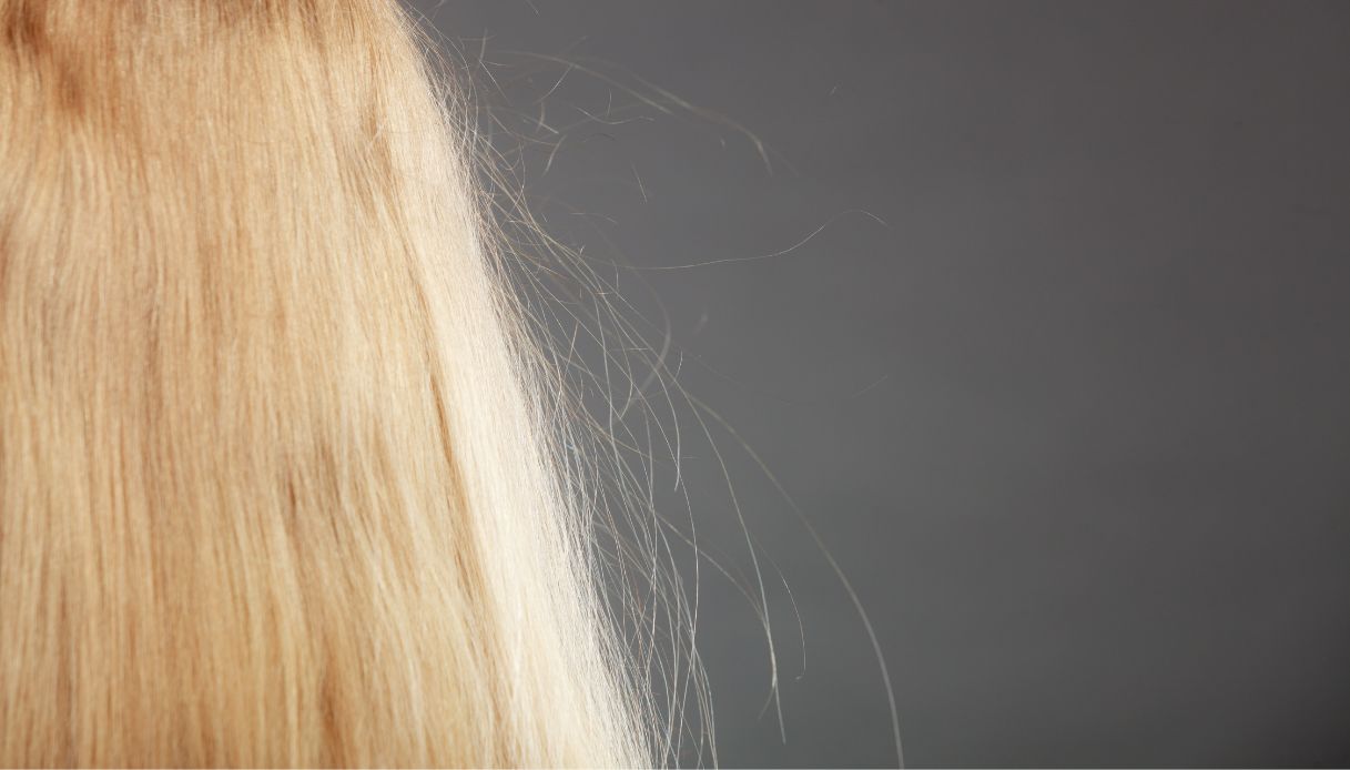 Capelli elettrici tutti i rimedi più efficaci capelli elettrici cause