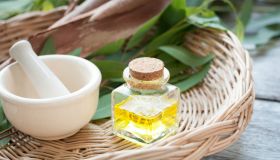Olio essenziale di eucalipto: proprietà, benefici e come si usa