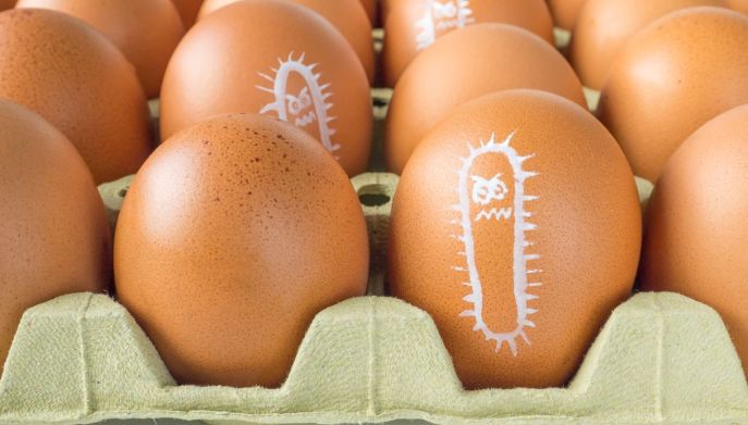 Alimenti a rischio salmonella