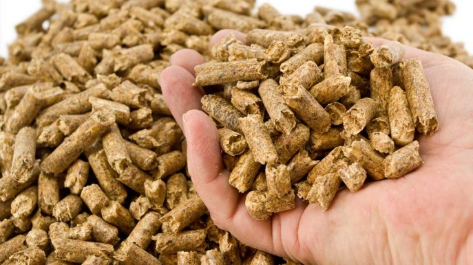 Arredare e scaldare la casa con le stufe a pellet