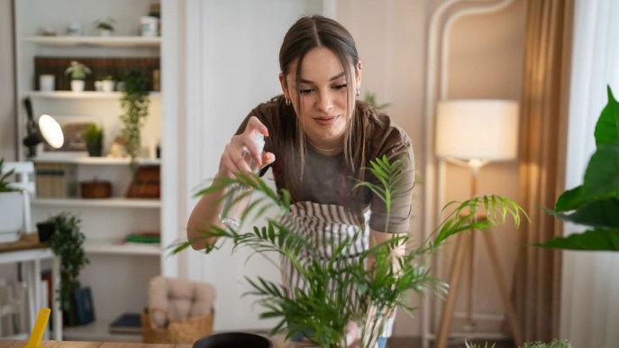 Benessere verde: la felicità passa per il contatto con piante e fiori