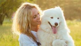 8 inaspettate abitudini che il cane apprende dal suo padrone