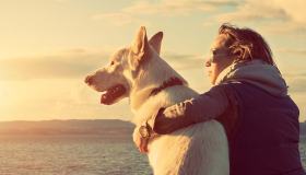 Perché non bisogna avere paura dei cani