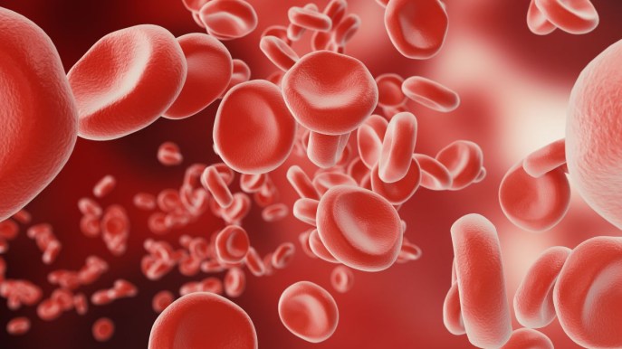 Anemia mediterranea: cos’è, sintomi e cause