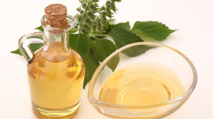 Perilla, la pianta contro le allergie e il colesterolo