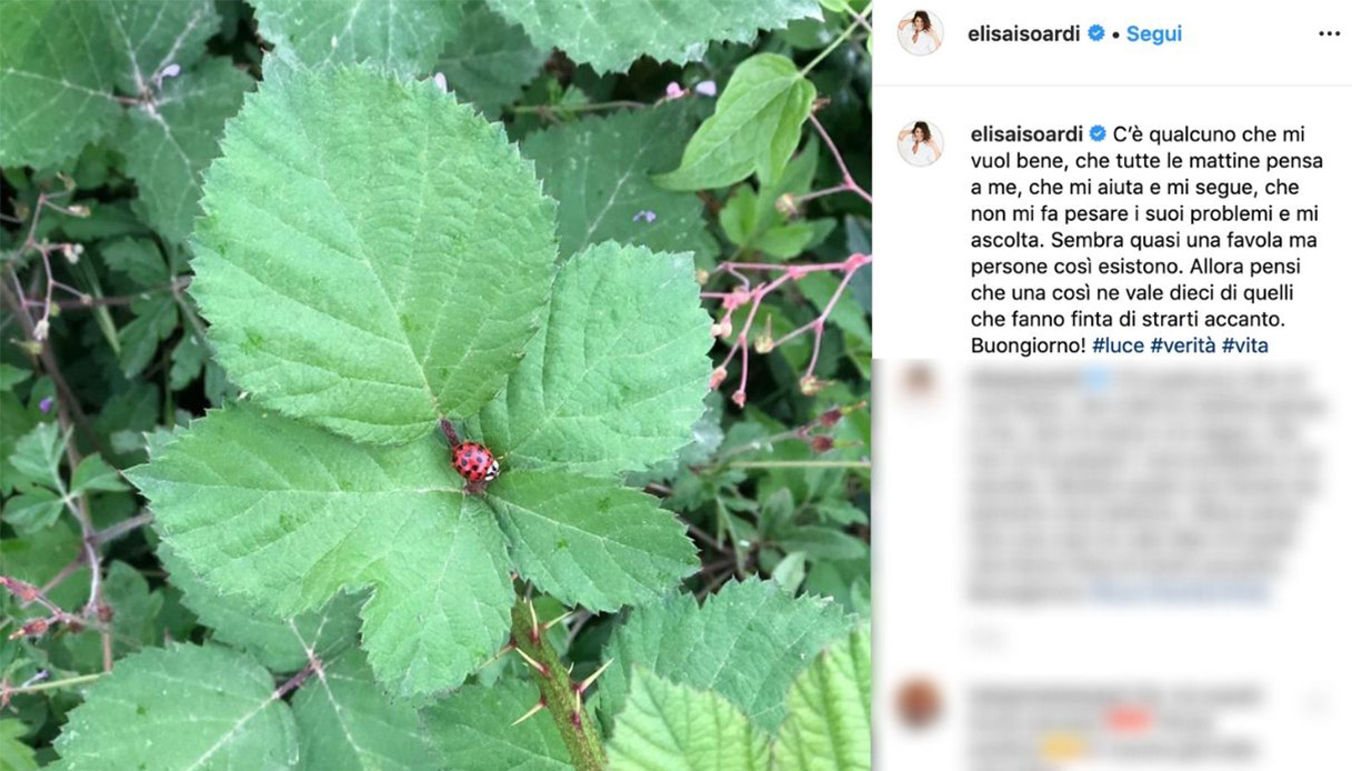 Elisa Isoardi torna single