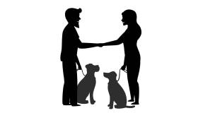È scientificamente provato: chi ha il cane rimorchia di più