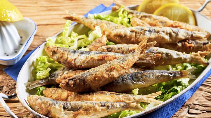 Sardine. 5 curiosità che non ti aspetti