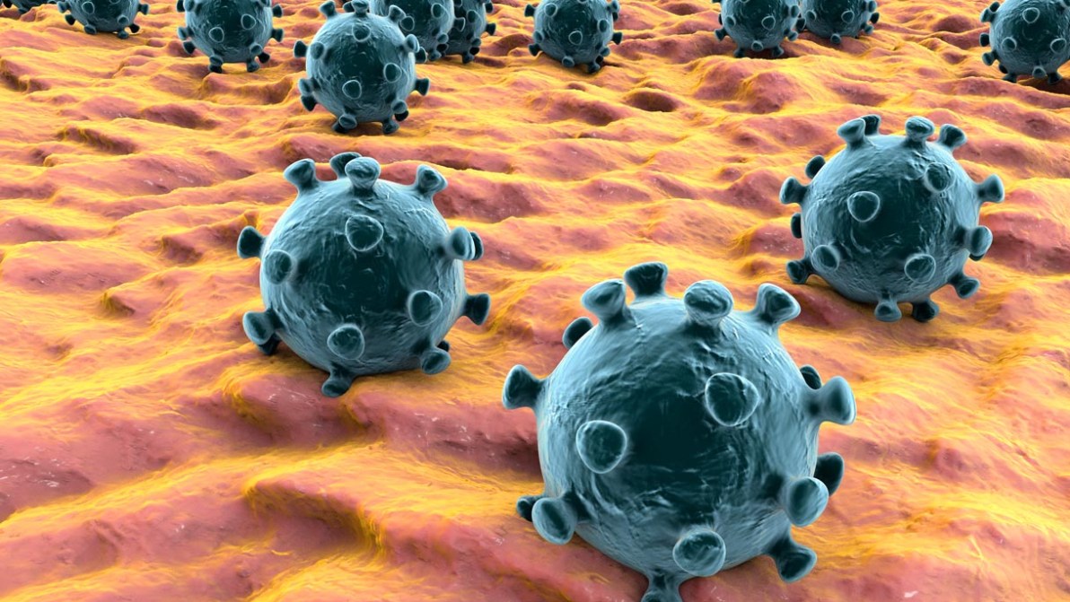 Coronavirus