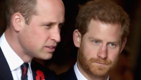 Harry sfida William e ricorda Lady Diana: “Perderla mi ha lasciato un buco dentro”