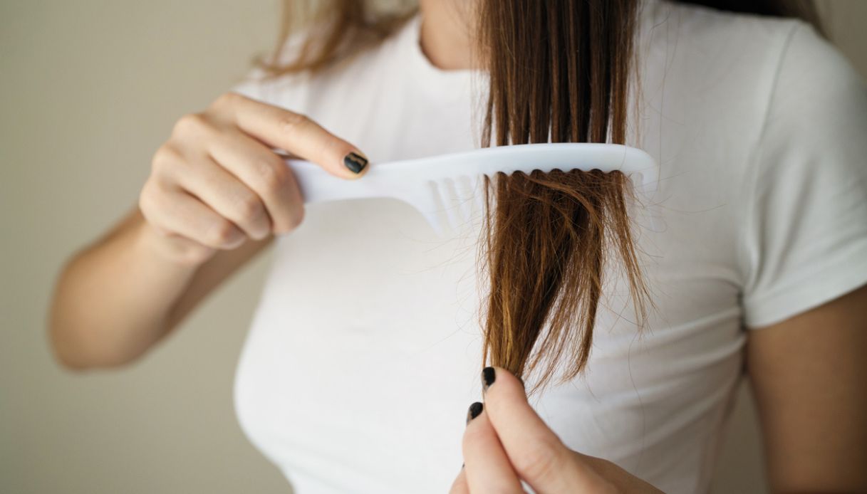 capelli secchi