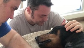 Tiziano Ferro, il dolore per il suo cane su Instagram: “Il suo cuore si è fermato”