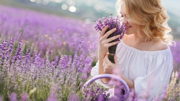Lavanda: un profumato e antico rimedio per il benessere