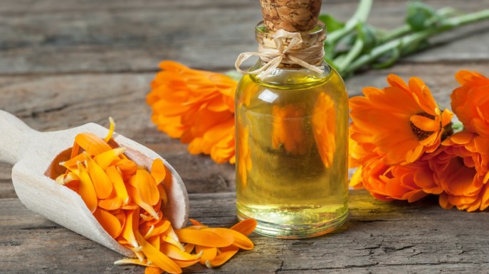 Olio di calendula: un alleato di benessere e bellezza per il corpo