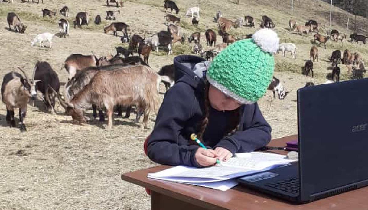 Fiammetta, la bambina in DAD in Trentino