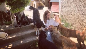 Oasi Ohana: dove cani e persone formano una grande famiglia