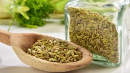 Finocchio come rimedio naturale: proprietà, benefici e utilizzi