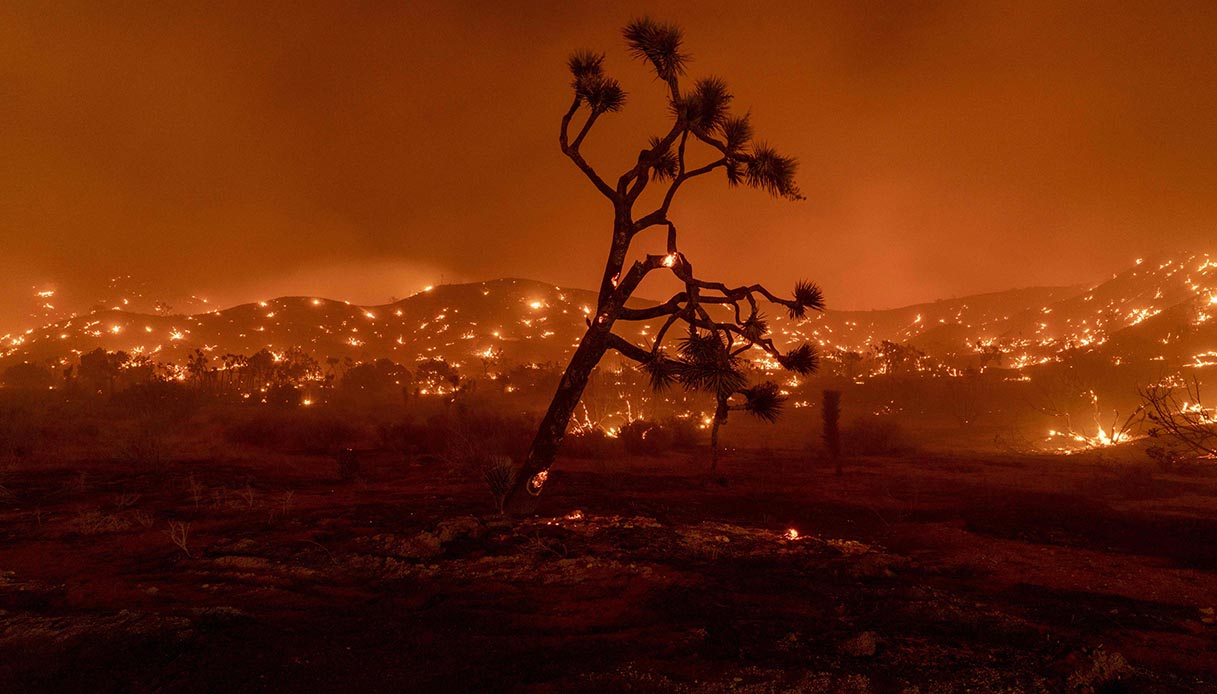 siccità in california