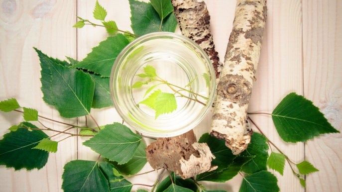 Diuretici naturali: cosa sono, effetti e come assumerli