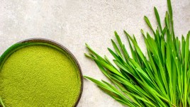 Erba d’orzo: cos’è, proprietà e come coltivarla in casa