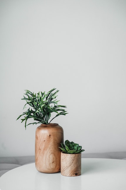 Complementi d'arredo sostenibili: ecco come sceglierli