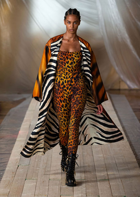 cavalli - le stampe