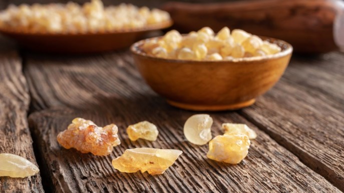 Boswellia: cos’è, proprietà e a cosa serve
