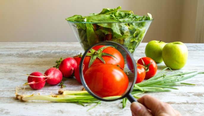 Intossicazioni alimentari
