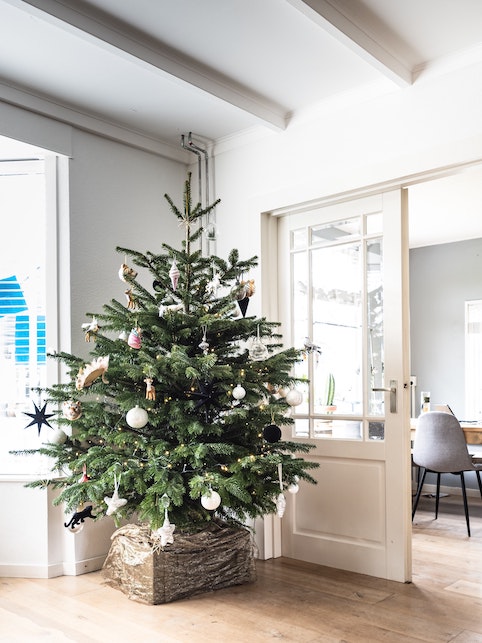 Decorazioni di Natale green: come addobbare la casa in modo ecologico