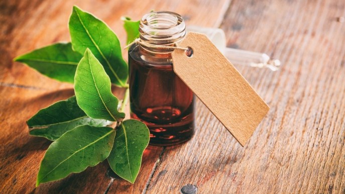 Alloro, come preparare l’infuso per capelli lisci e setosi