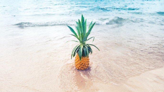 5 consigli per un’estate sostenibile: ecco cosa fare per essere green