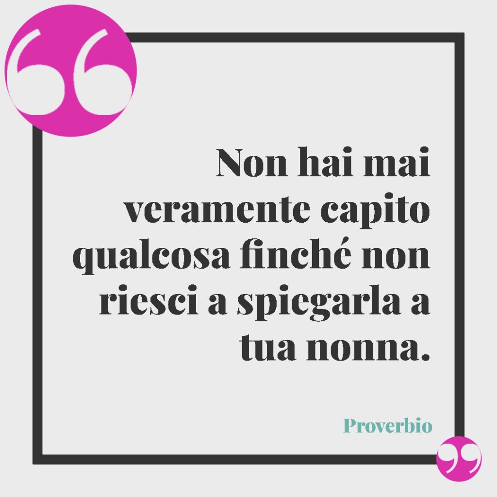 Frasi sulla nonna. Non hai mai veramente capito qualcosa finché non riesci a spiegarla a tua nonna. (Proverbio)
