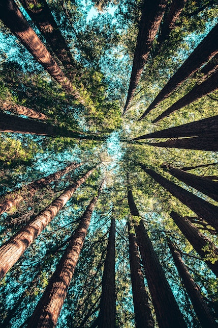 Overshoot day: perché bisognerebbe parlarne tutti i giorni (e non un solo giorno all'anno)