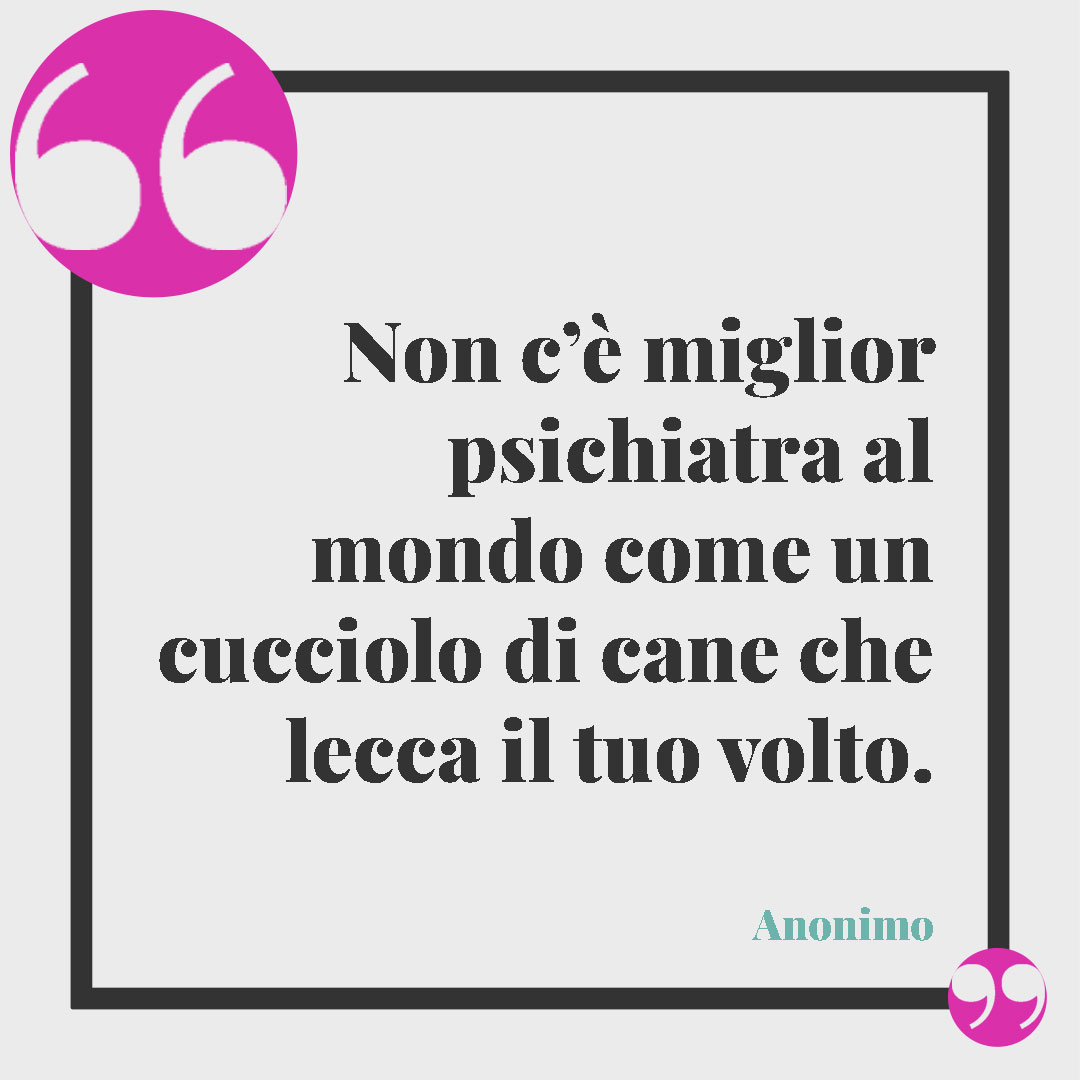 Frasi sui cani.Non c’è miglior psichiatra al mondo come un cucciolo di cane che lecca il tuo volto. (Anonimo)