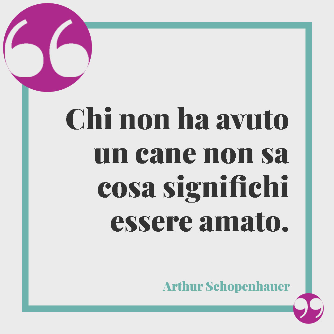 Frasi sui cani. Chi non ha avuto un cane non sa cosa significhi essere amato. (Arthur Schopenhauer)