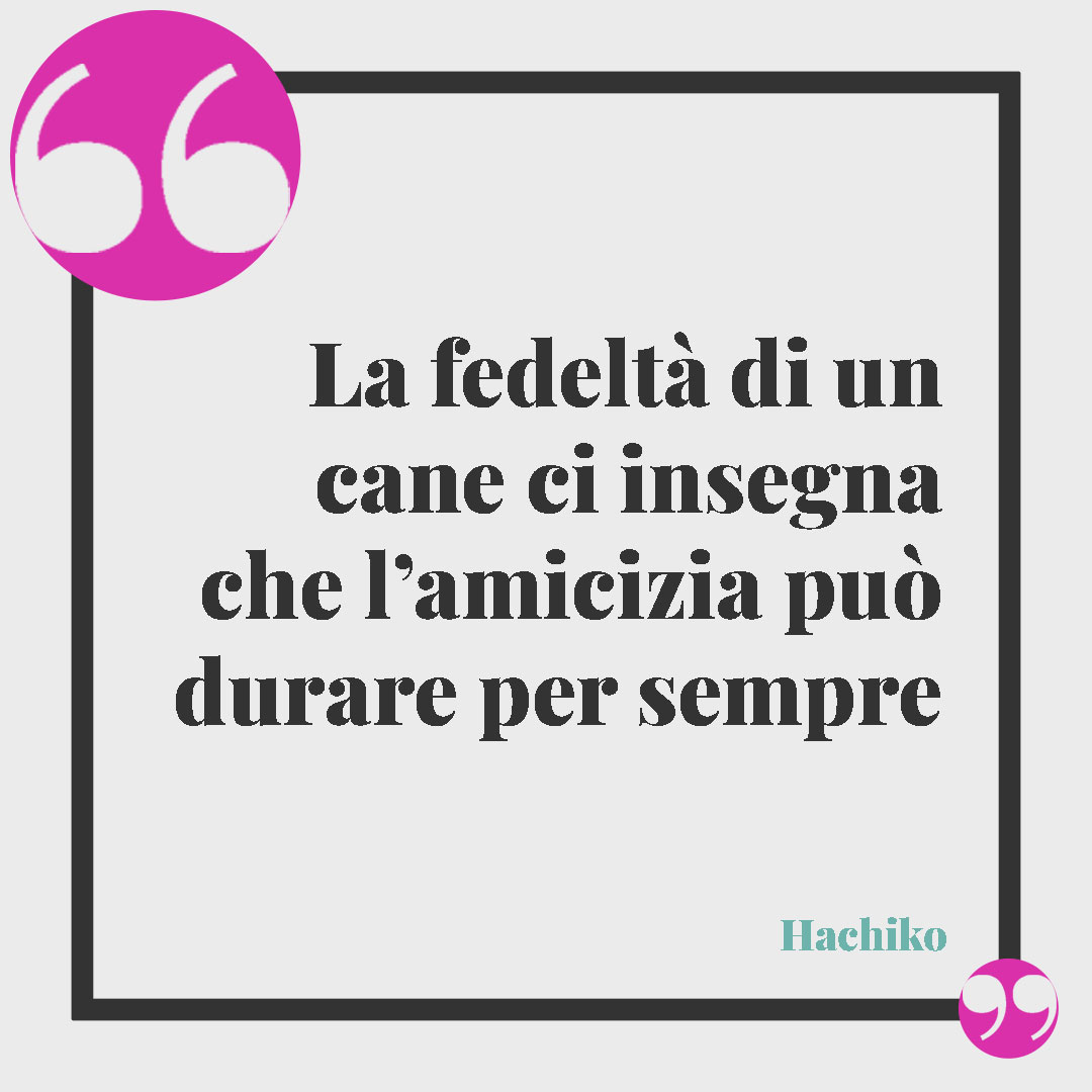 Frasi sui cani. La fedeltà di un cane ci insegna che l’amicizia può durare per sempre (Hachiko)