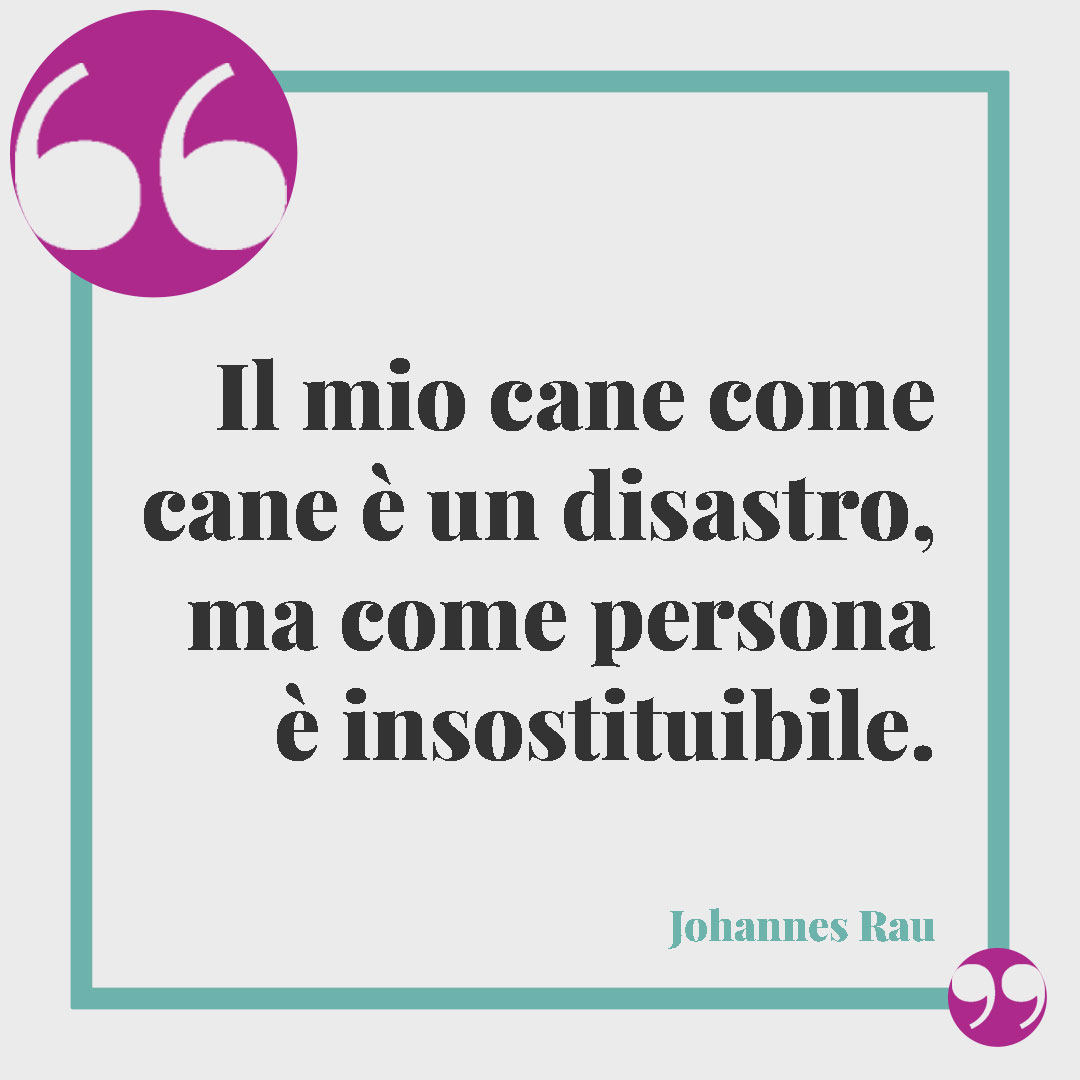 Frasi sui cani. Il mio cane come cane è un disastro, ma come persona è insostituibile. (Johannes Rau)