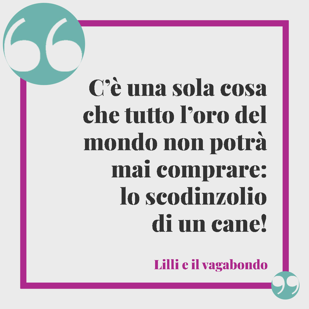 Frasi sui cani. C’è una sola cosa che tutto l’oro del mondo non potrà mai comprare: lo scodinzolio di un cane! (Lilli e il vagabondo)