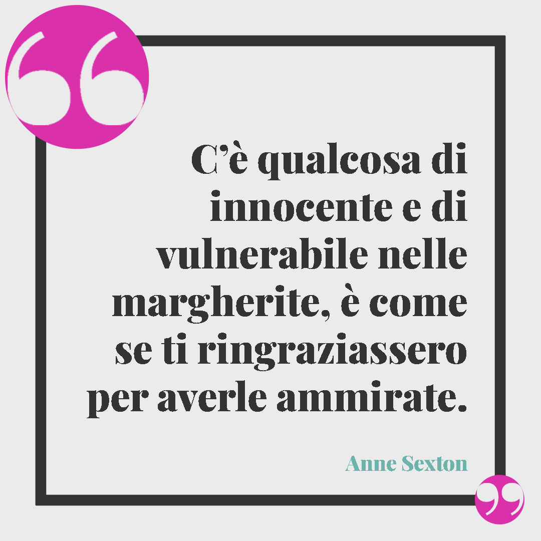 Frasi sui fiori. C’è qualcosa di innocente e di vulnerabile nelle margherite, è come se ti ringraziassero per averle ammirate. (Anne Sexton)