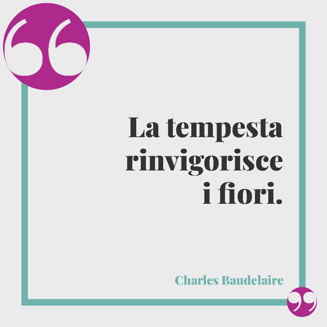 Frasi sui fiori. La tempesta rinvigorisce i fiori. (Charles Baudelaire)