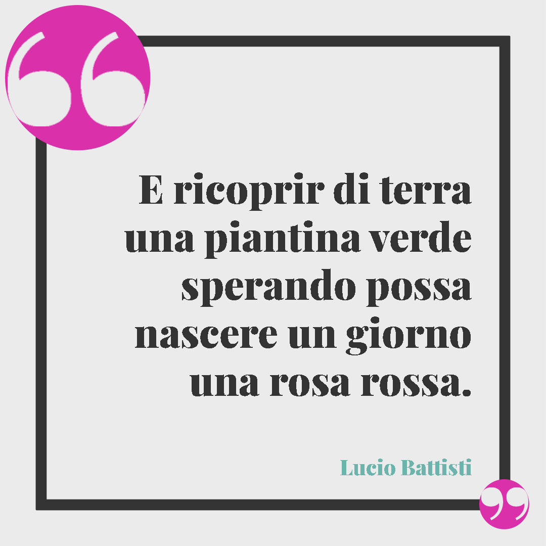Frasi sulle rose.E ricoprir di terra una piantina verde sperando possa nascere un giorno una rosa rossa. (Emozioni – Lucio Battisti)