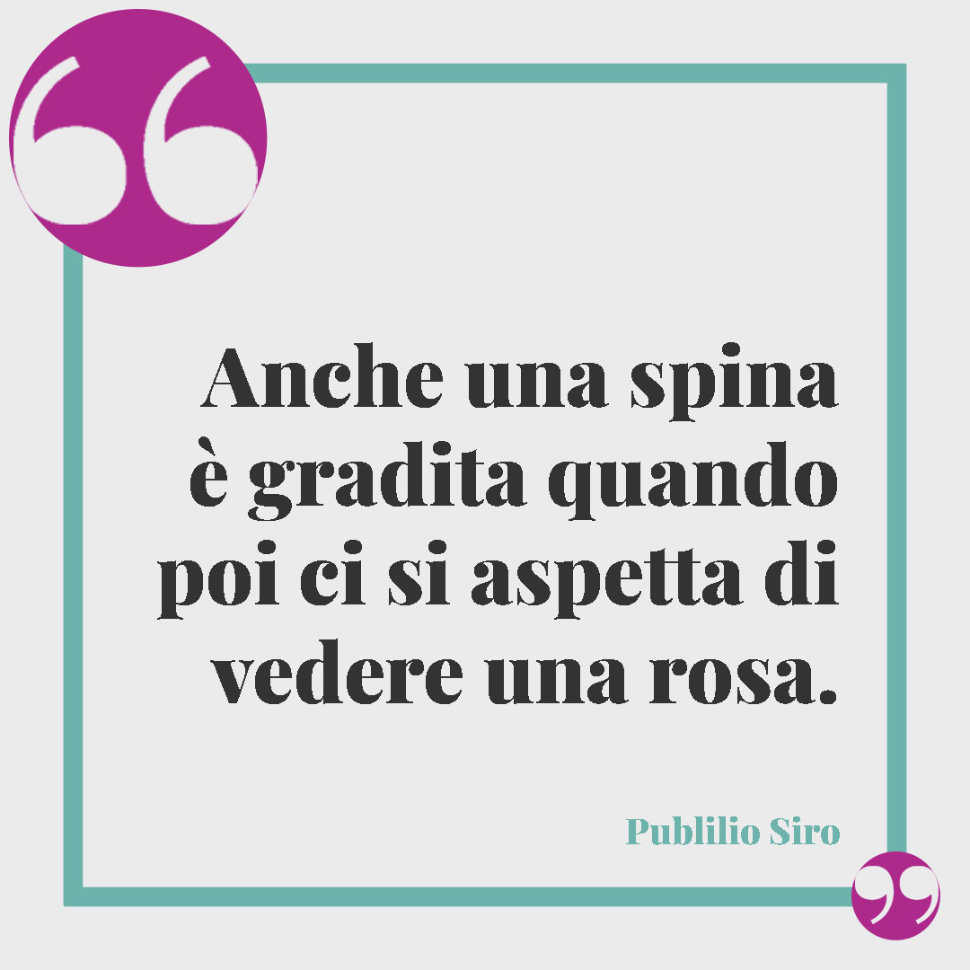 Frasi sulle rose. Anche una spina è gradita quando poi ci si aspetta di vedere una rosa. (Publilio Siro)