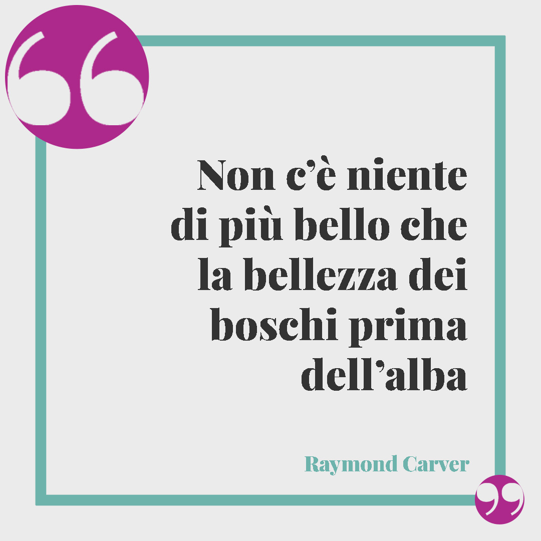 Frasi sull’alba. Non c’è niente di più bello che la bellezza dei boschi prima dell’alba (Raymond Carver).