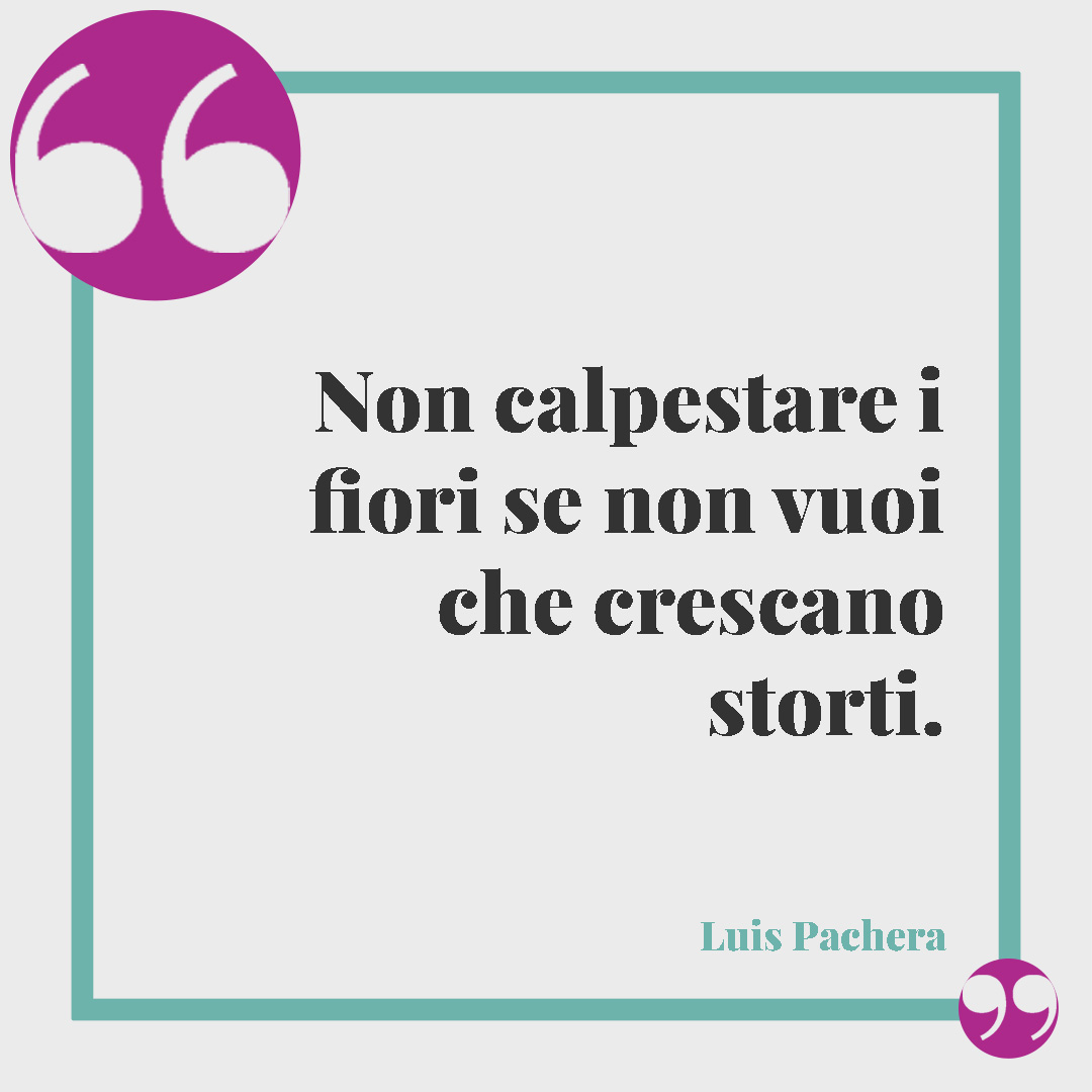 Frasi sull’educazione. Non calpestare i fiori se non vuoi che crescano storti. (Luis Pachera)
