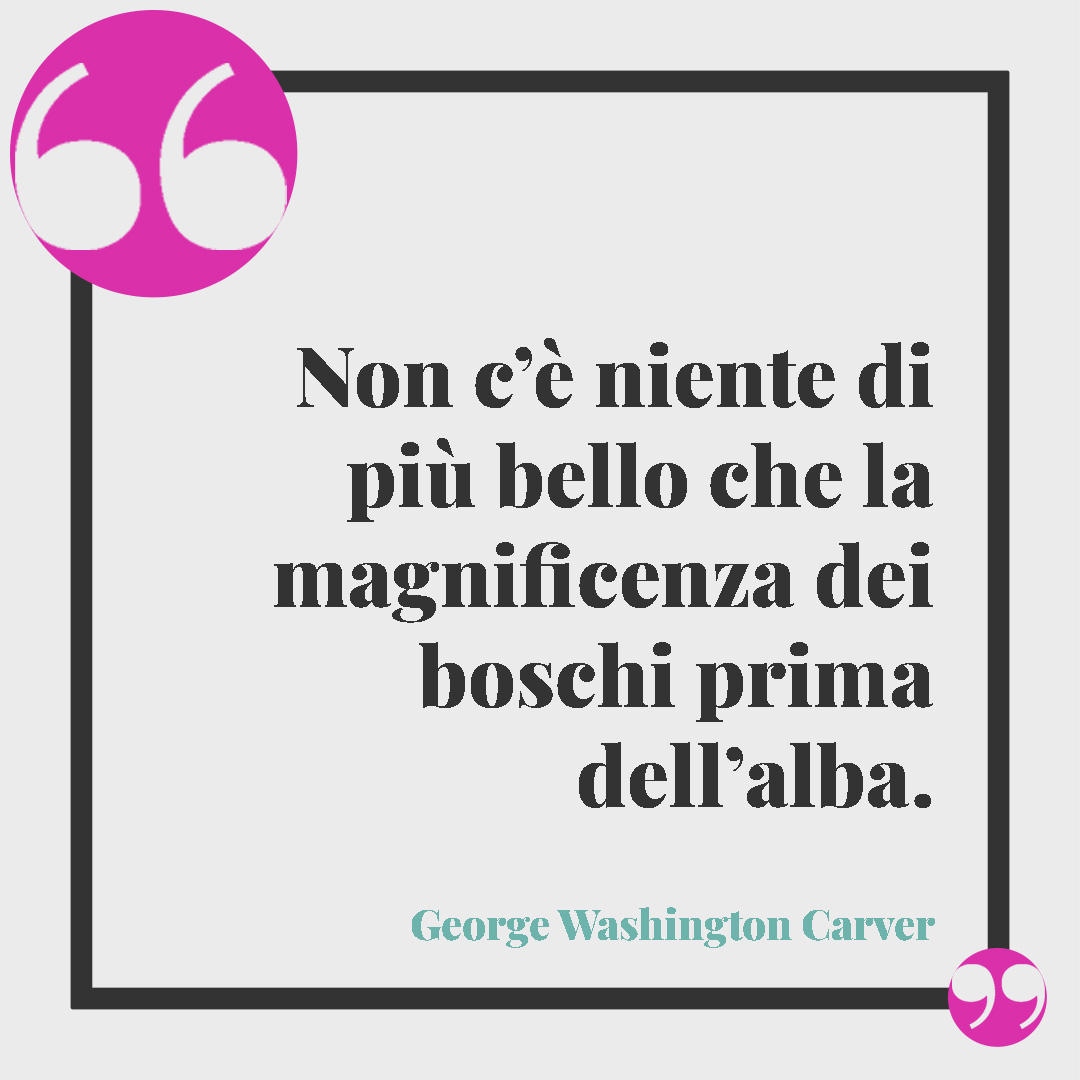 Frasi sulla bellezza. Non c’è niente di più bello che la magnificenza dei boschi prima dell’alba. (George Washington Carver)