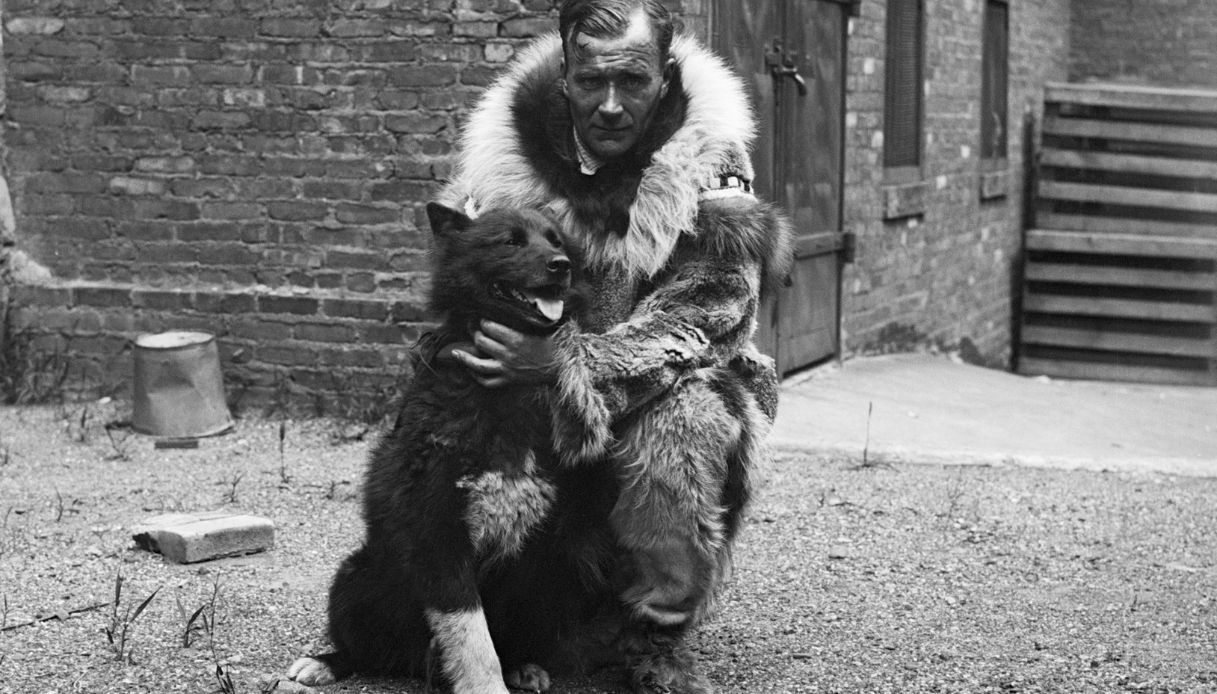 Sledder e Balto
