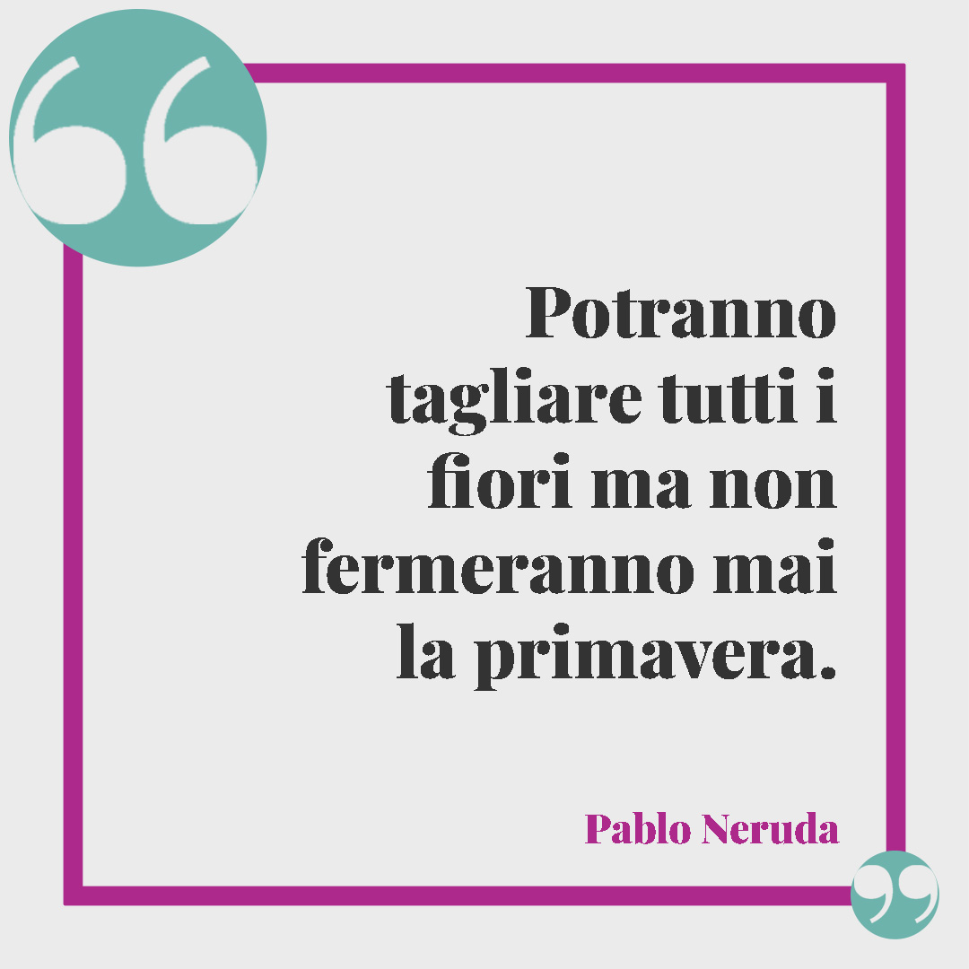 Frasi sulla rinascita. Potranno tagliare tutti i fiori ma non fermeranno mai la primavera.