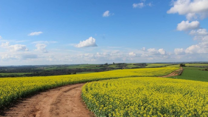 L’agricoltura rigenerativa è il futuro della moda?