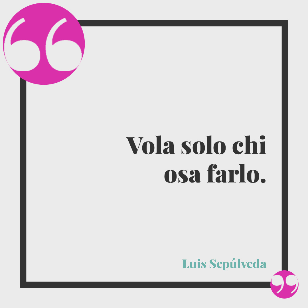 Frasi sul volo. Vola solo chi osa farlo. (Luis Sepúlveda)