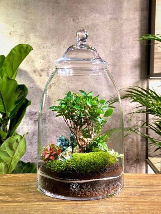 terra viva design - biofilia - benesserre